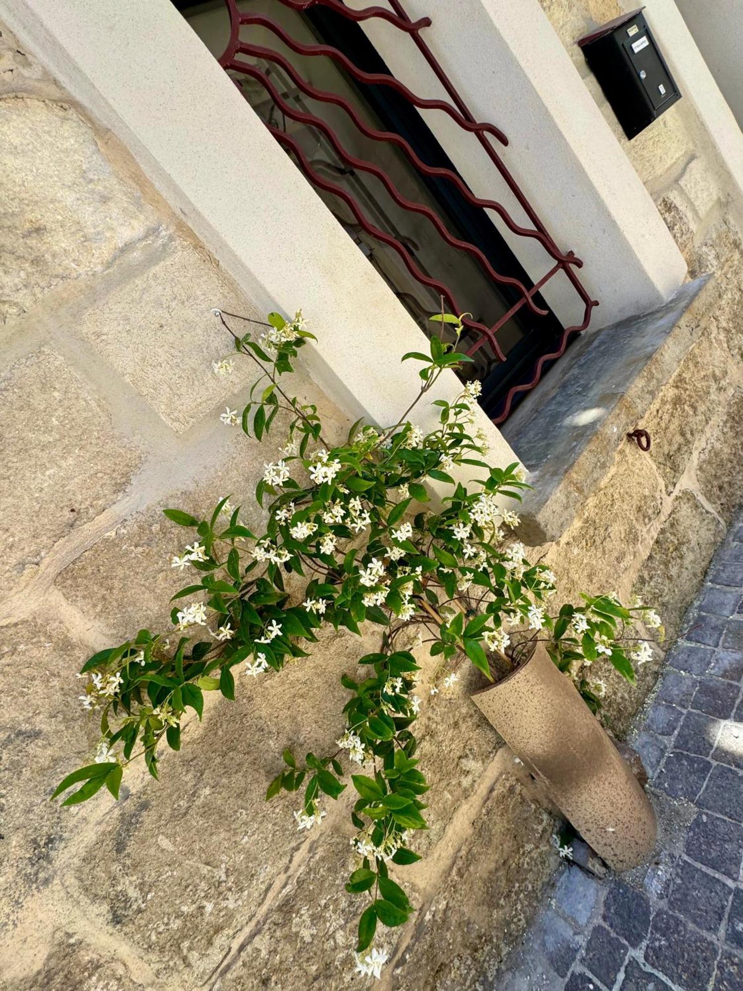 Maison de village rénovée ! Le Grau-du-Roi Exterior foto